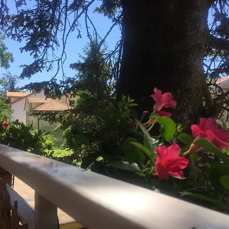 新御住宿加早餐旅馆