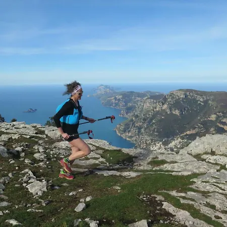 Bed & Breakfast New Royal 3*